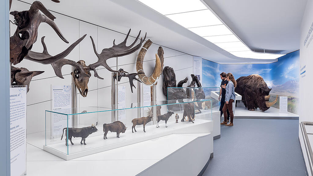 Haus der Natur