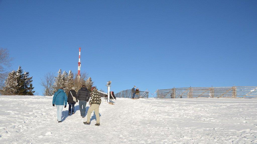 Winterspaziergang am Gaisberg