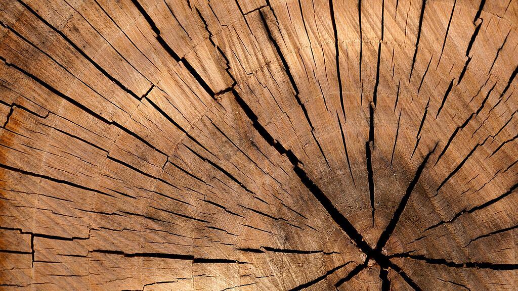 lumber-g8cb2cfd38_1920.jpg