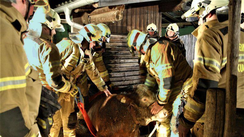 Die Feuerwehrleute konnten Sigi aus ihrer misslichen Lage befreien.