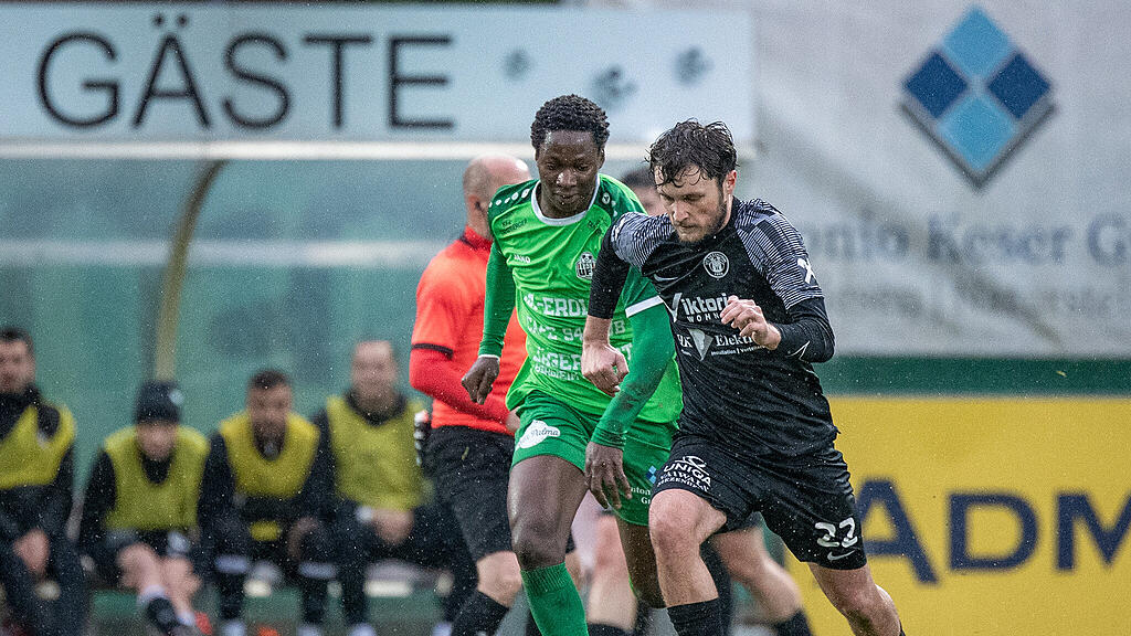 Hallein, Siezenheim, Salzburger Liga, SaLi, SL