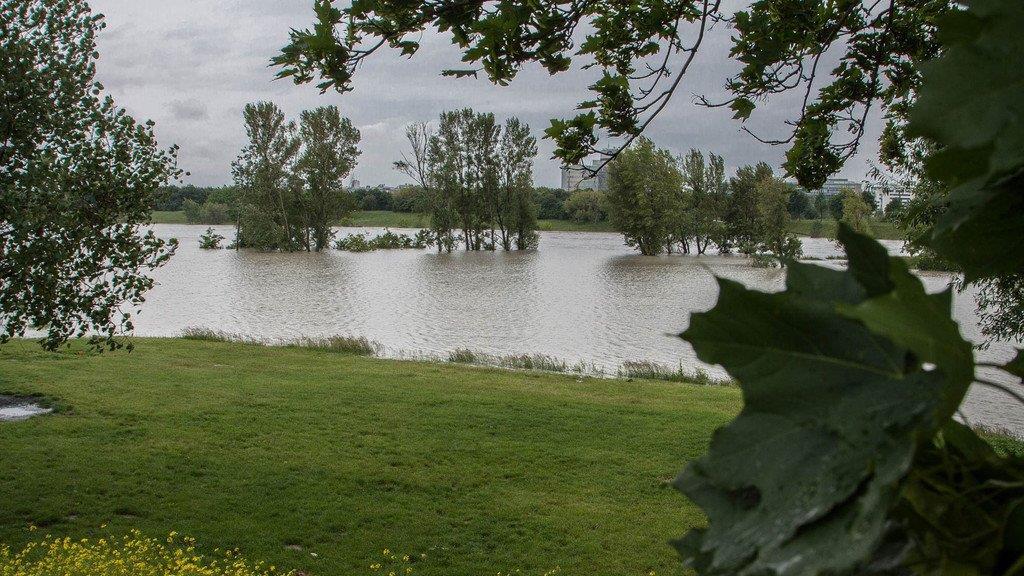 Hochwasser in Wien