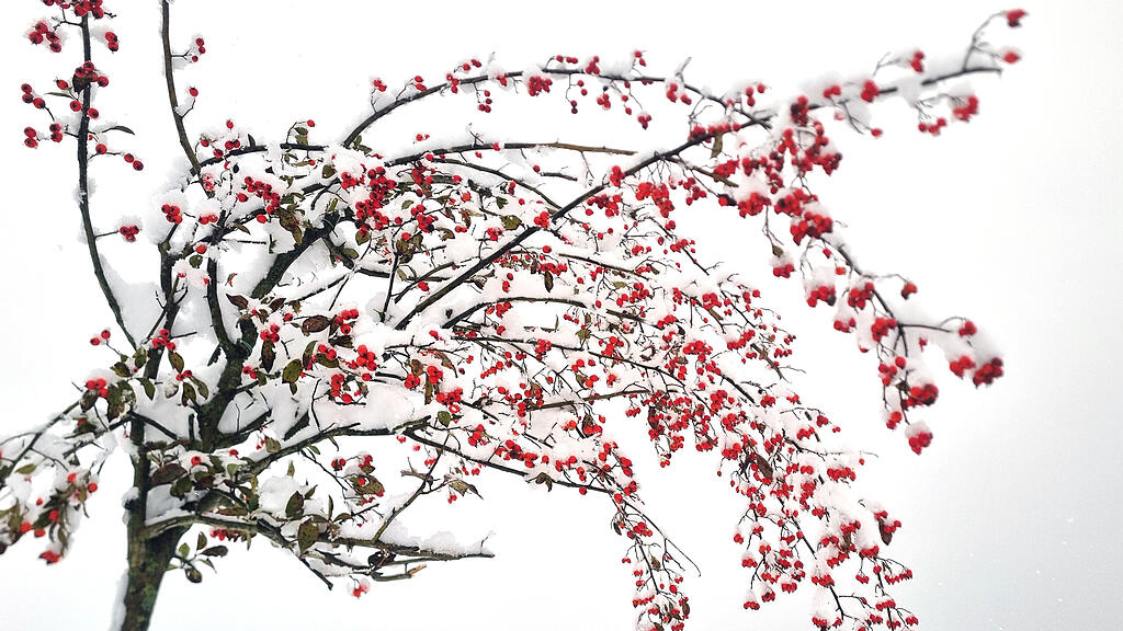 symb_winter_schnee_eis