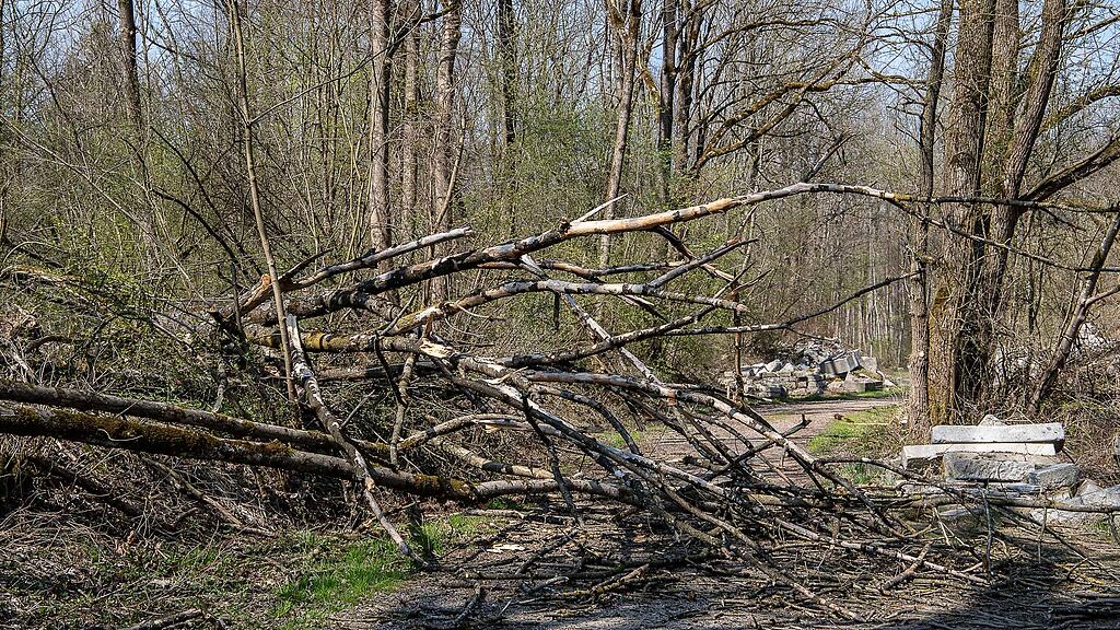 20190401_fmt_schaeden_nach_winterstuerme_mw1-9.jpg