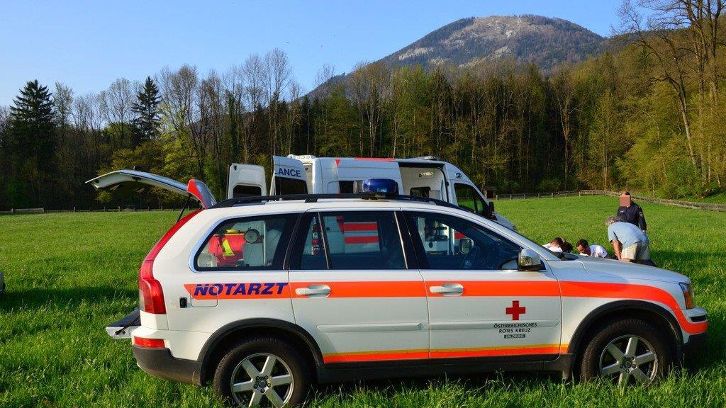 Paragleiter-Abstrurz in Aigen
