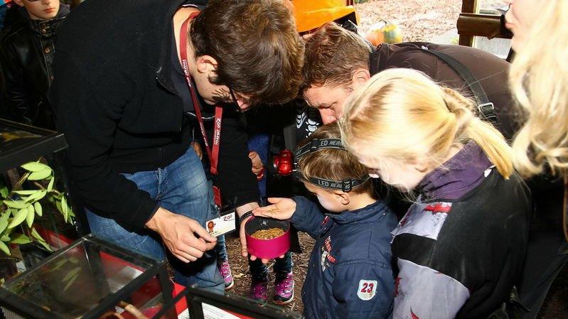 Halloween im Zoo