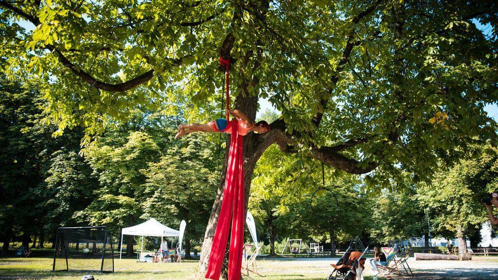 LIVE IM PARK: Auftakt