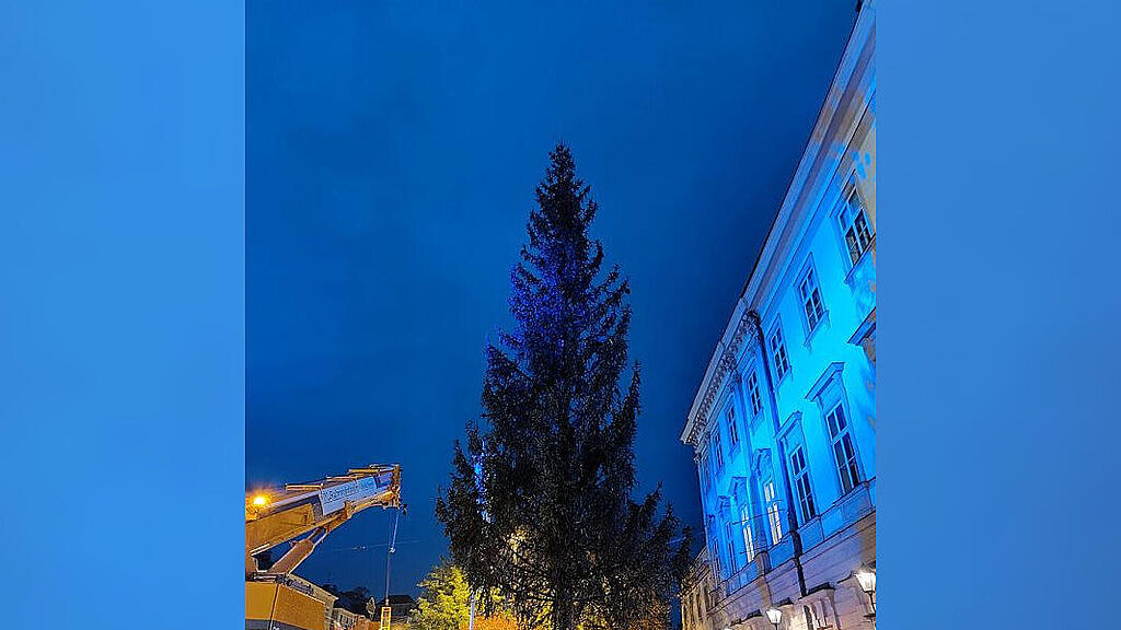 christbaum_23 (1).jpg