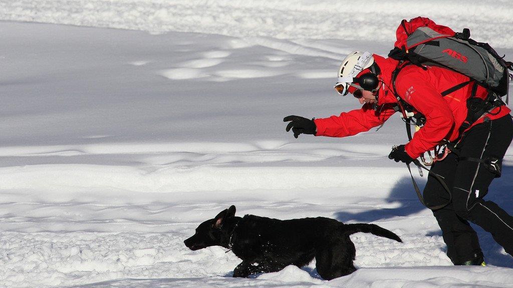 Superhunde im Einsatz