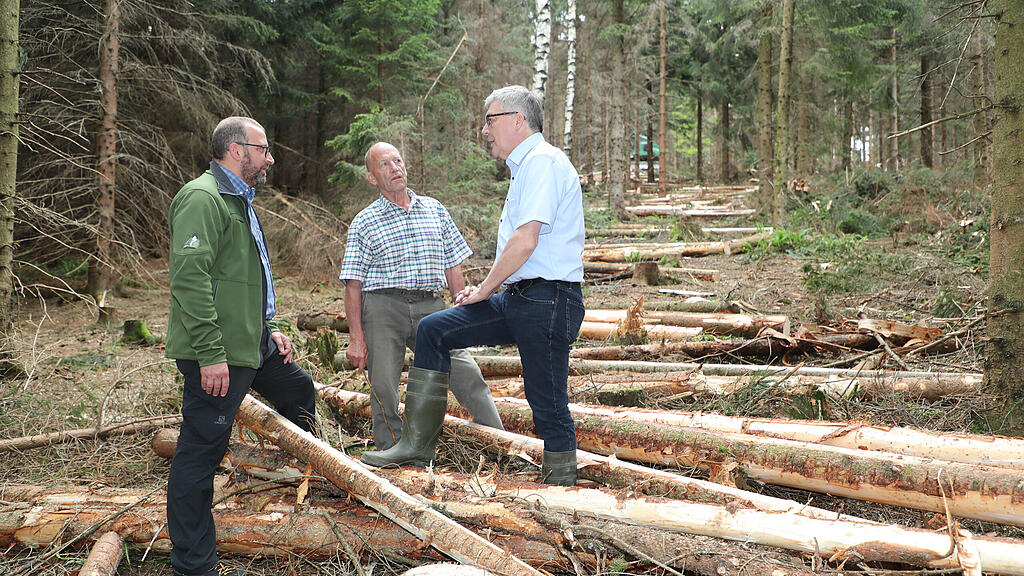 Forst, Thalgau, Katastrophenfonds