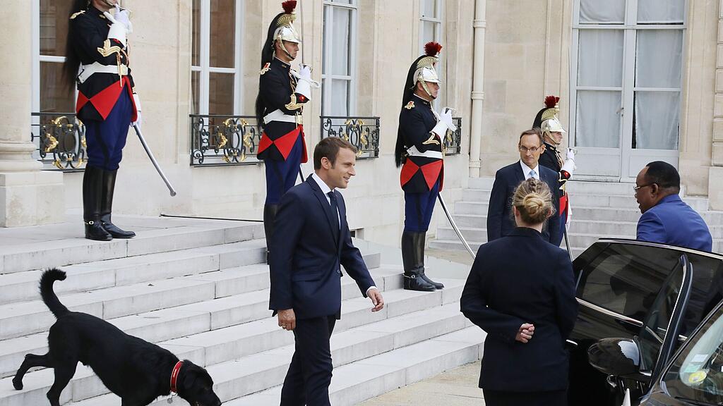 Der Hund von Macron hat in den Elysee-Palast gepinkelt.