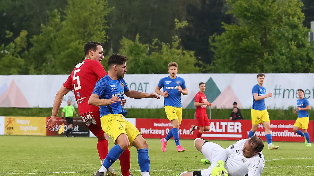 SAK 1914 - UFC Hallein