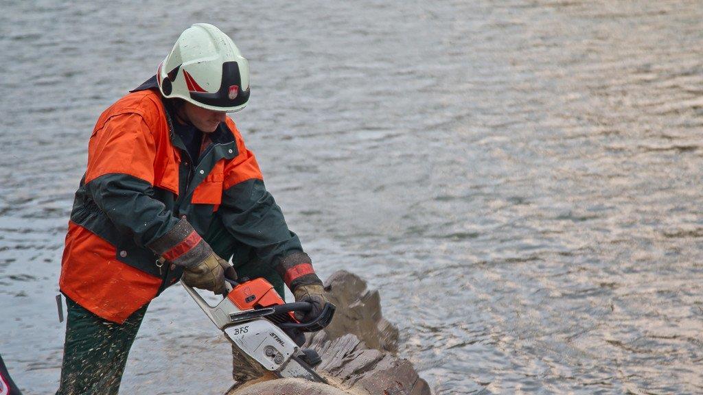 Berufsfeuerwehr barg Riesen-Baumstamm