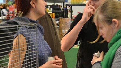 Leserreporter bei der Exotica Reptilienbörse in Wien