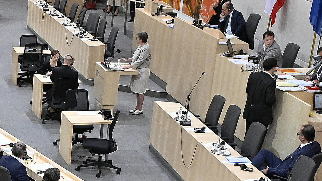 Nationalrat mitten im Wahlkampf