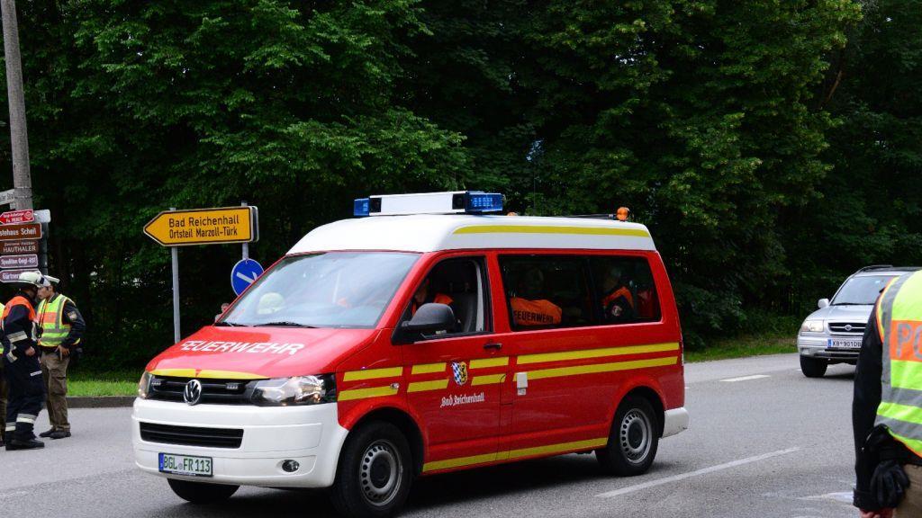 Pinzgauerinnen in Bayern verletzt, I