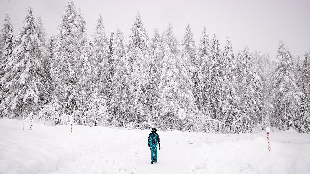 Schnee, Neuschnee, Kals, Gro\u00dfglockner,