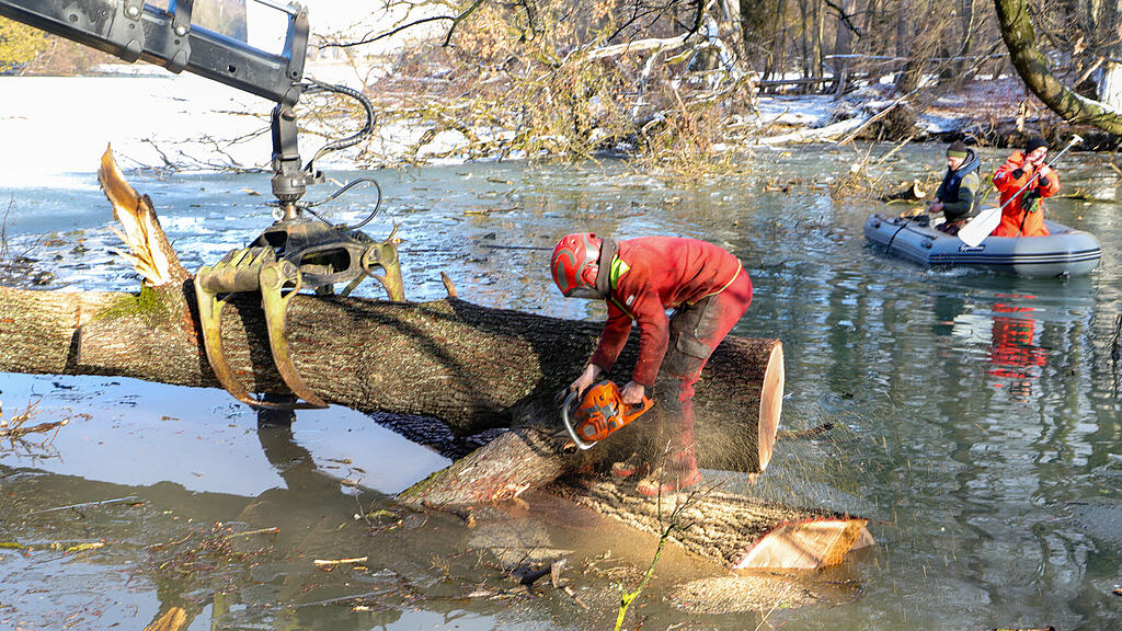 20250116_fmt_baumfaellung_Lepiweiher_mw-10.jpg