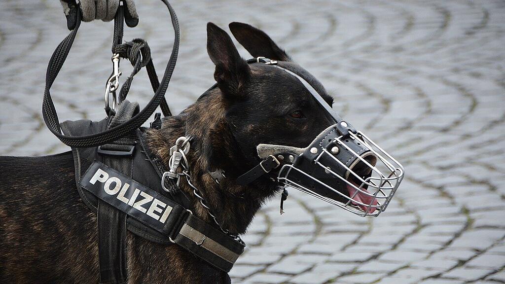 symb_polizeihund