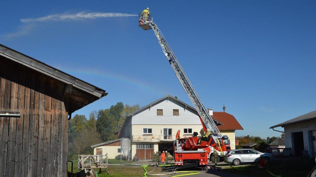 Bilder der Herbstübung