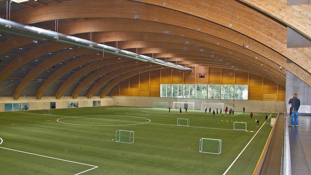 Red Bull Akademie in Liefering
