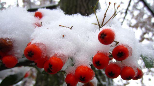 So schön kann der Winter sein