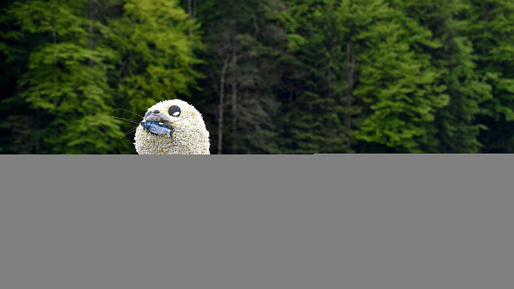 Narzissenfest am Grundlsee