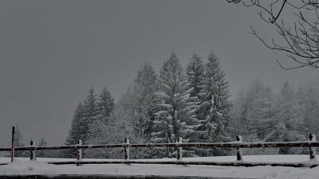 Wintereinbruch am Gaisberg