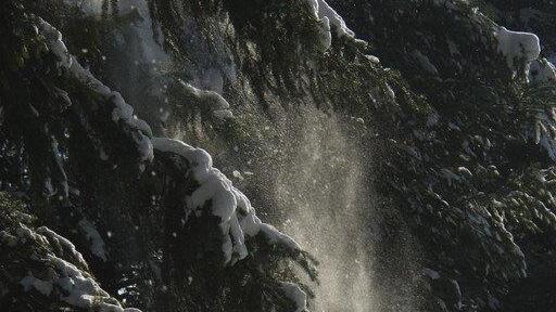 Salzburgs schönste Winterlandschaften III