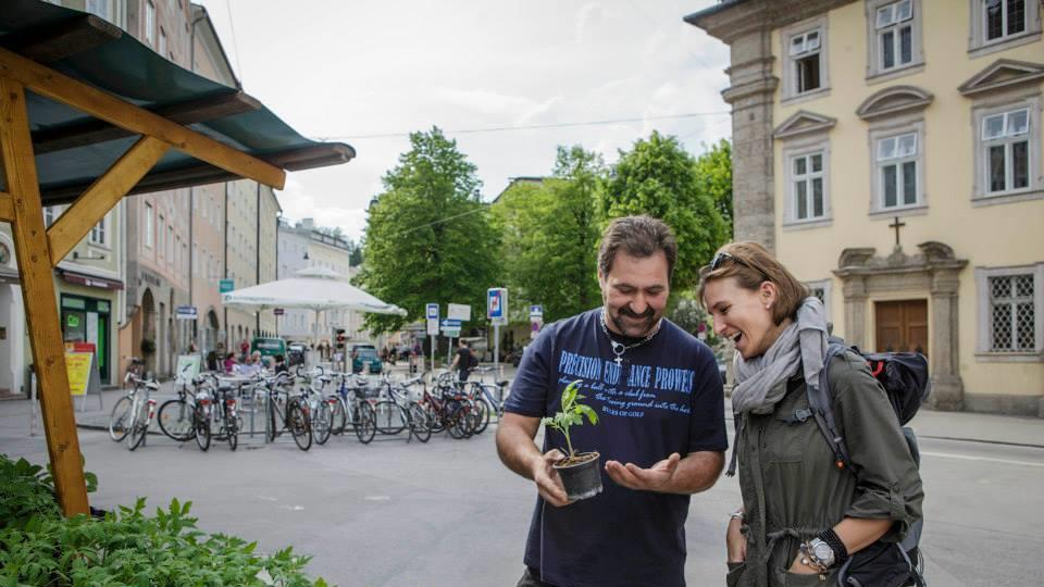 Setzlingsmarkt am Kajetanerplatz