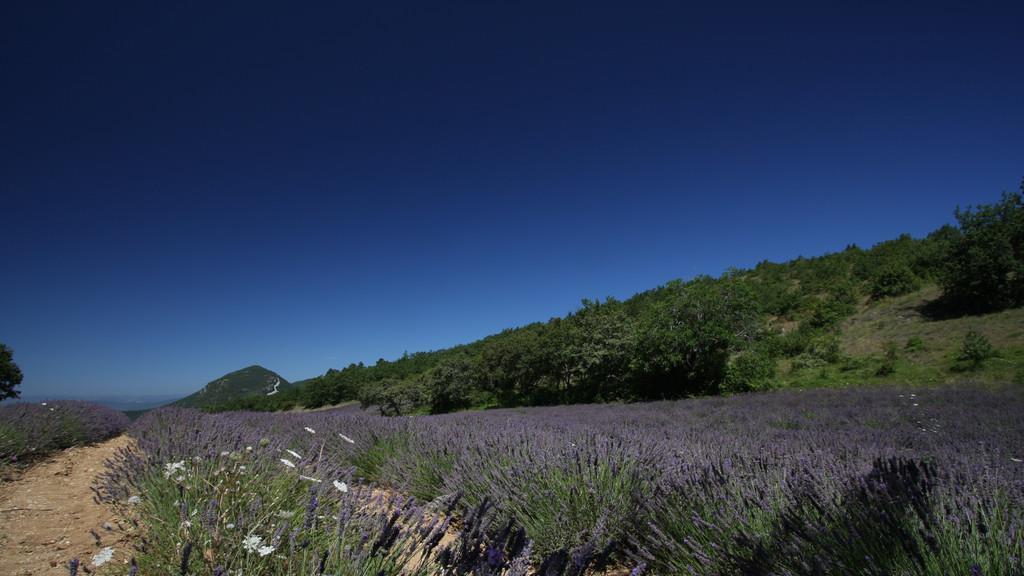 Die schönsten Sommer-Fotos