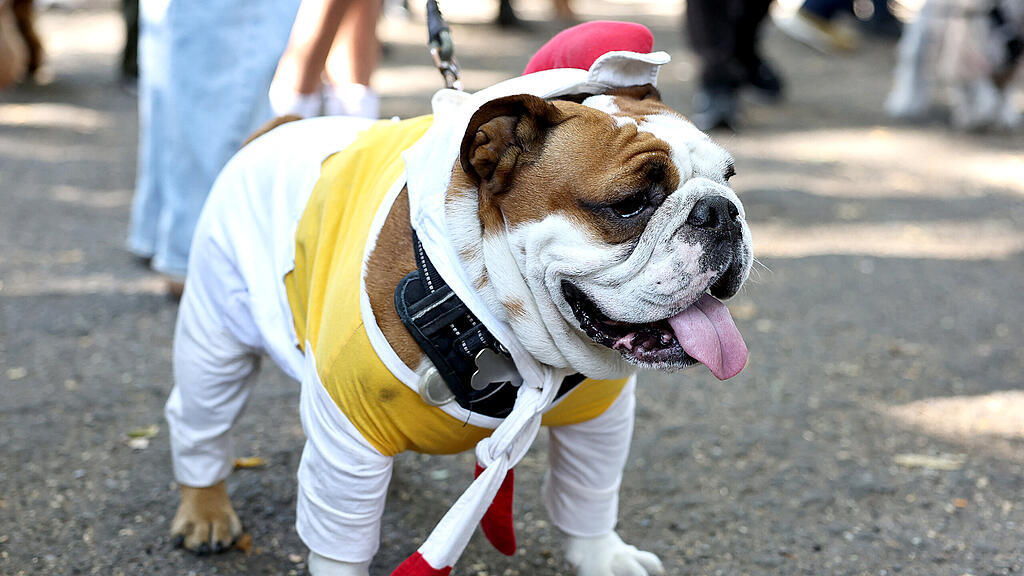 Halloween Parade