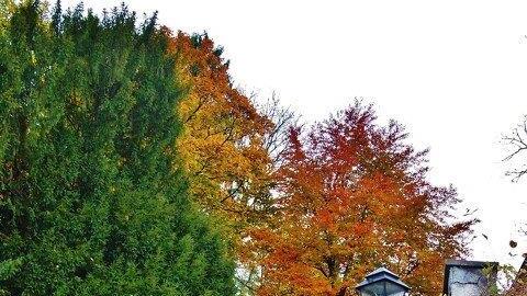 Goldener Oktober in Salzburg