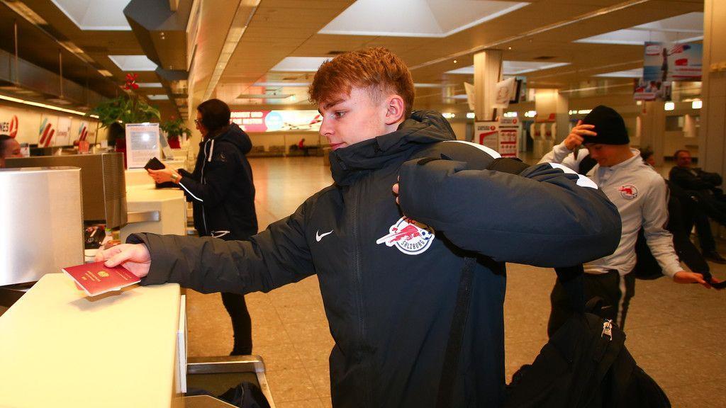 Jungbullen am Flughafen