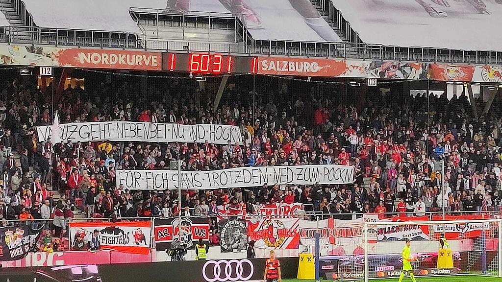 Red Bull Salzburg, Rapid Wien, Fans