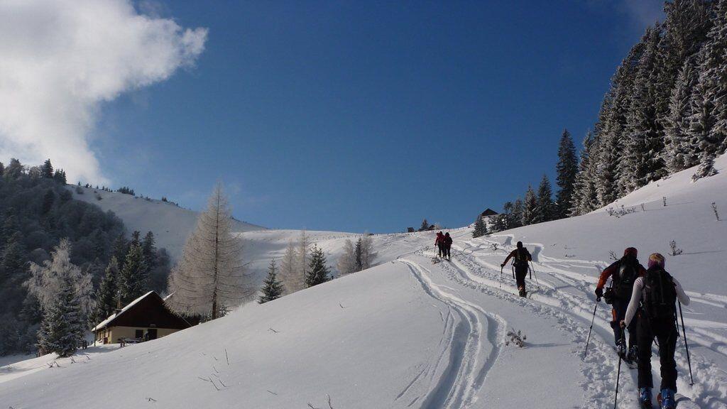 Ein erfahrener Tourguide führt die Teilnehmer duch den Lehrpfad Loibersbacher Höhe.