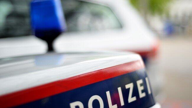 Die beiden Autodiebe waren offenbar betrunken.