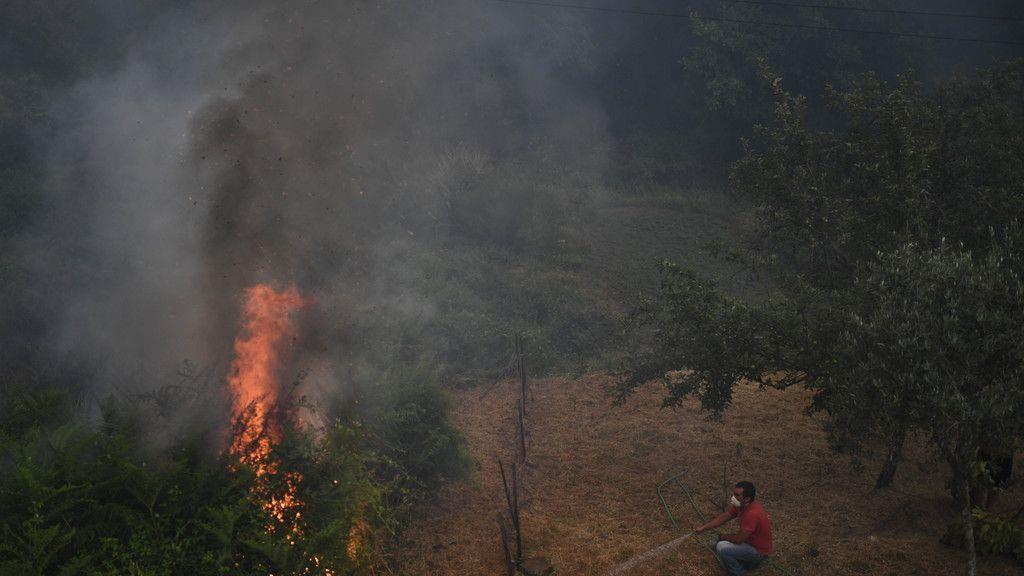 Waldbrand in Portugal