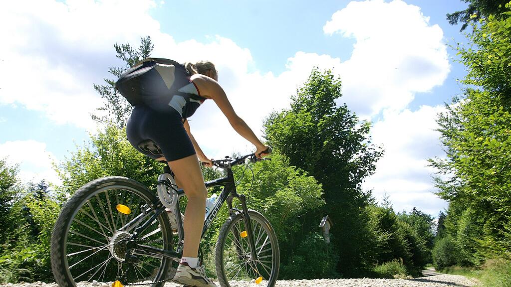 Der Fahrradboom der vergangenen Jahre hat den Bedarf an Fachkräften und fundierter Ausbildung stark steigen lassen (Symbolbild).