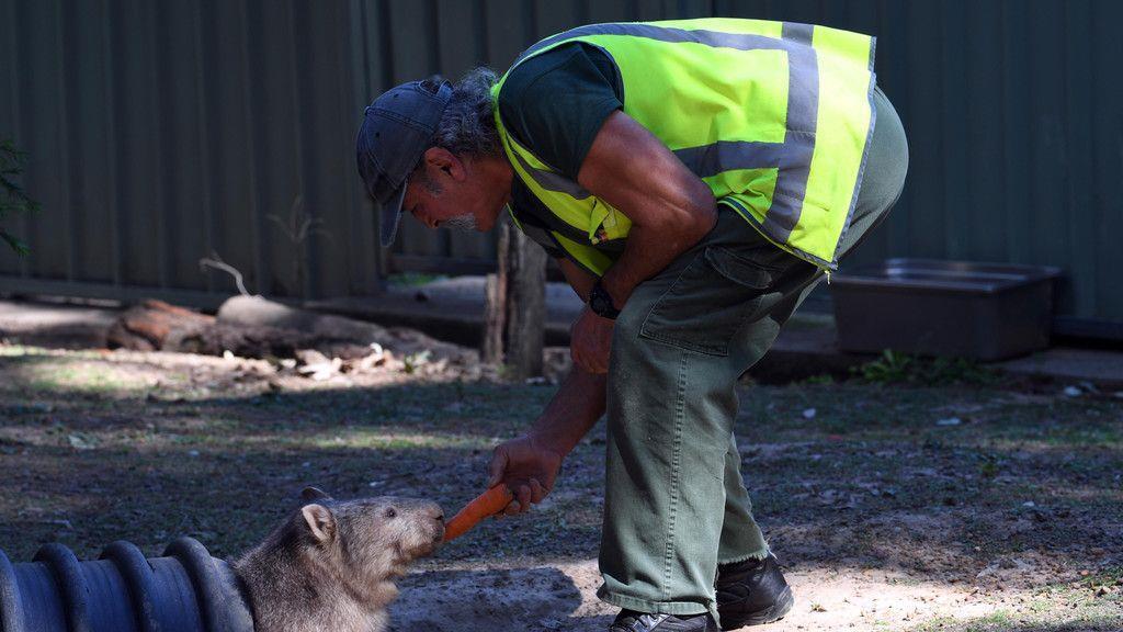 Häftlinge kümmern sich um Tiere