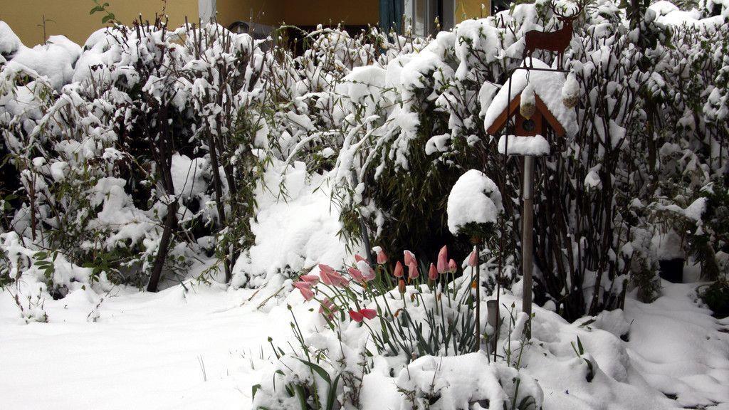 Wintereinbruch im Flachgau
