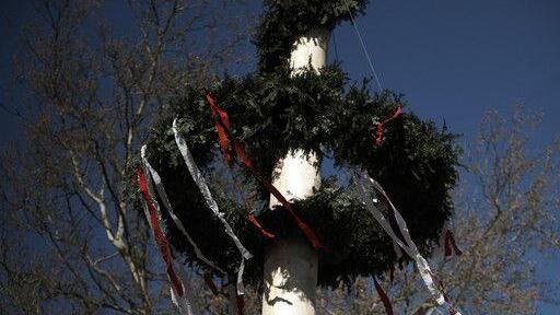 Maibaumaufstellen in Aigen