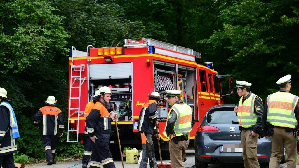 Pinzgauerinnen in Bayern verletzt, I