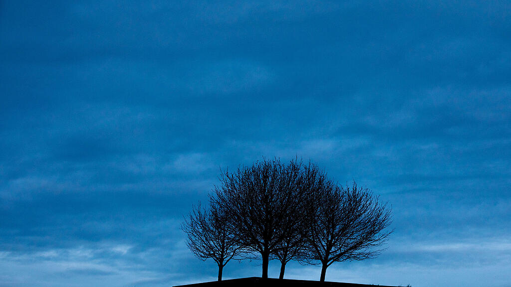 Wetter, Baum