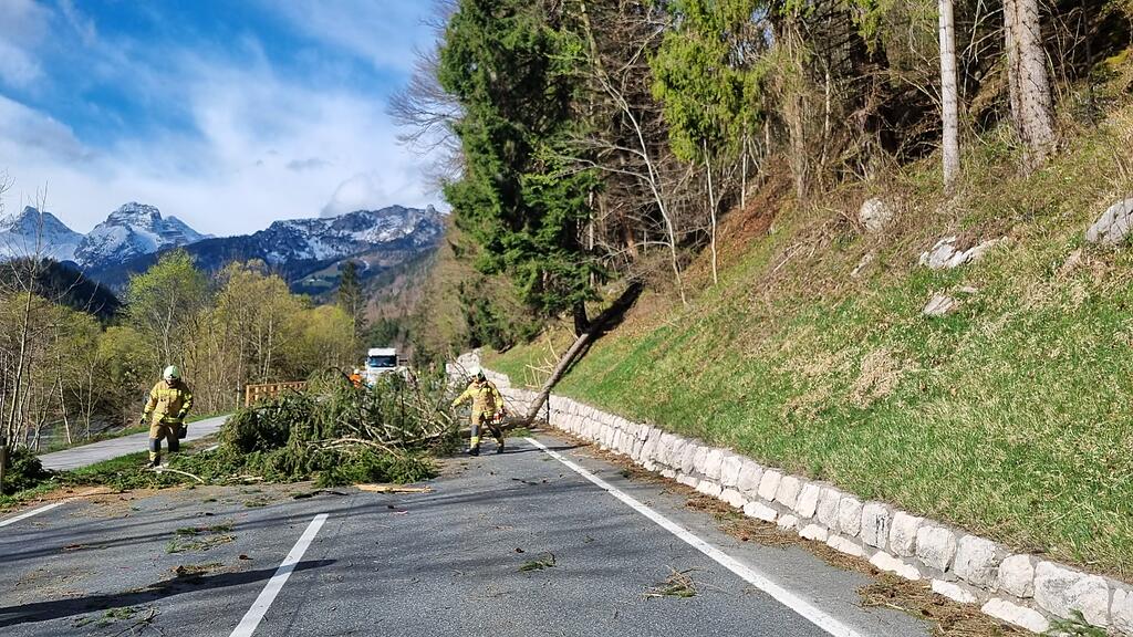 Baum st\u00fcrzt in Unken auf Auto