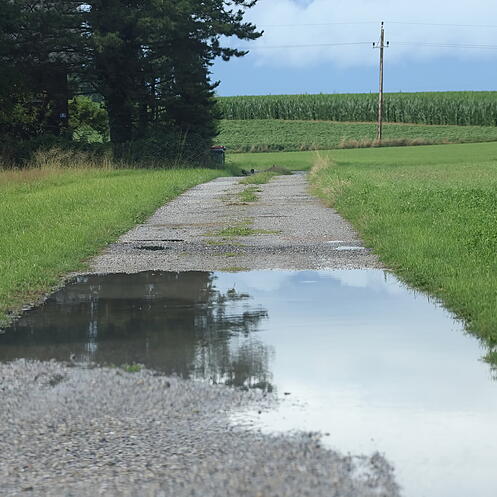 Regen im Flachgau II