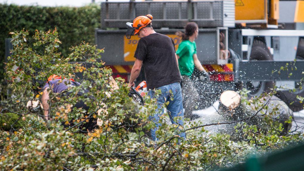 Unwetter: Aufräumarbeiten in Rif