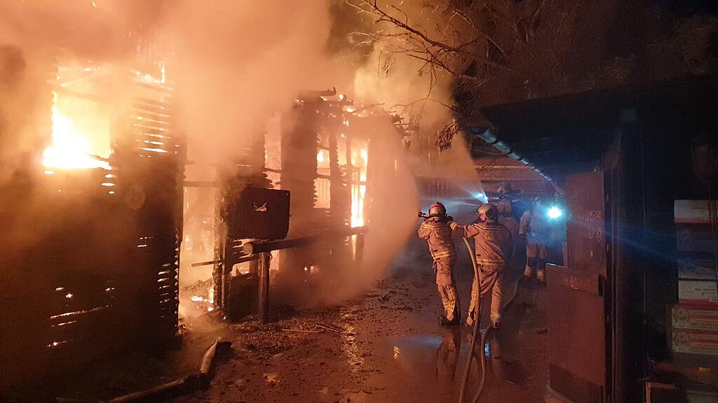Pferde tot Brand NÖ