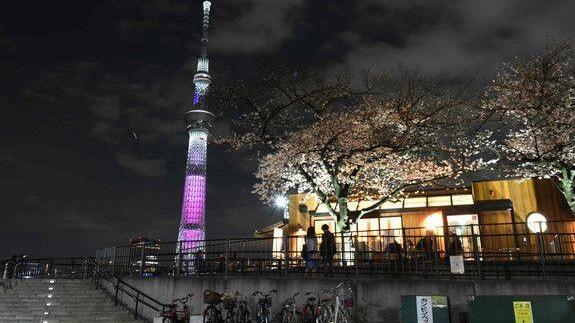 "Earth Hour" rund um die Welt