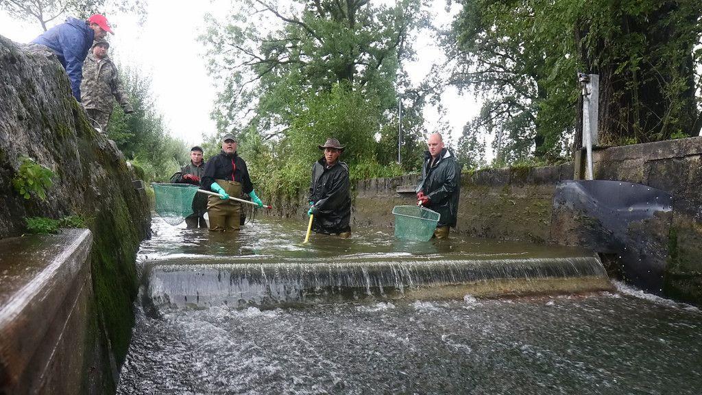 Almkanal Reinigung